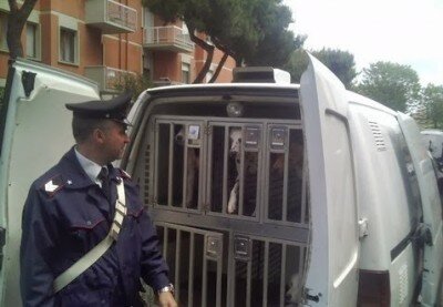 carabiniere_morso_cane
