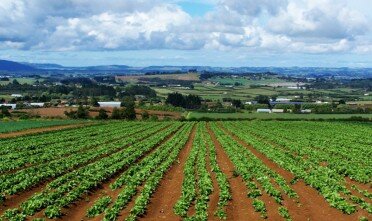 agricoltura-372x221