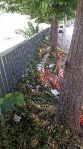 FutureDem il degrado in viale Napoleone Colajanni